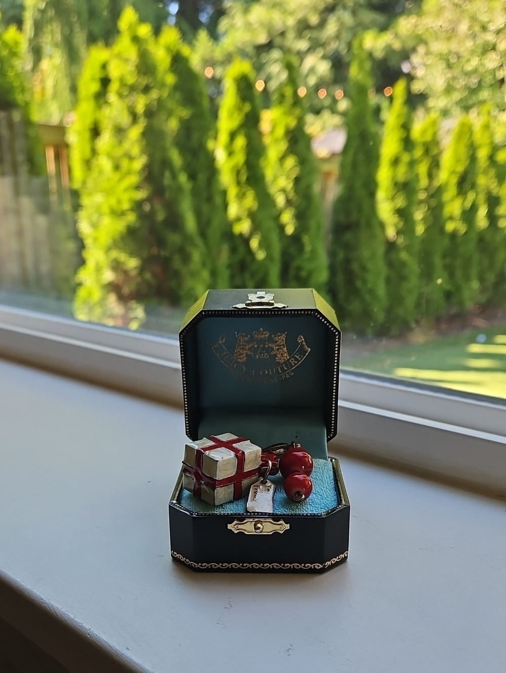 Juicy Couture Present/gift Charm
